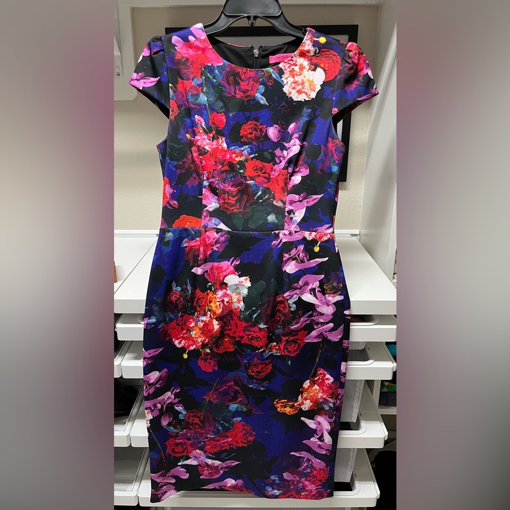 Betsey Johnson multi color dress